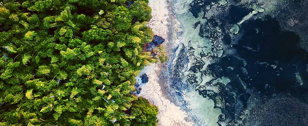 AMP Capital Carbon footprint of managed equity and fixed income funds